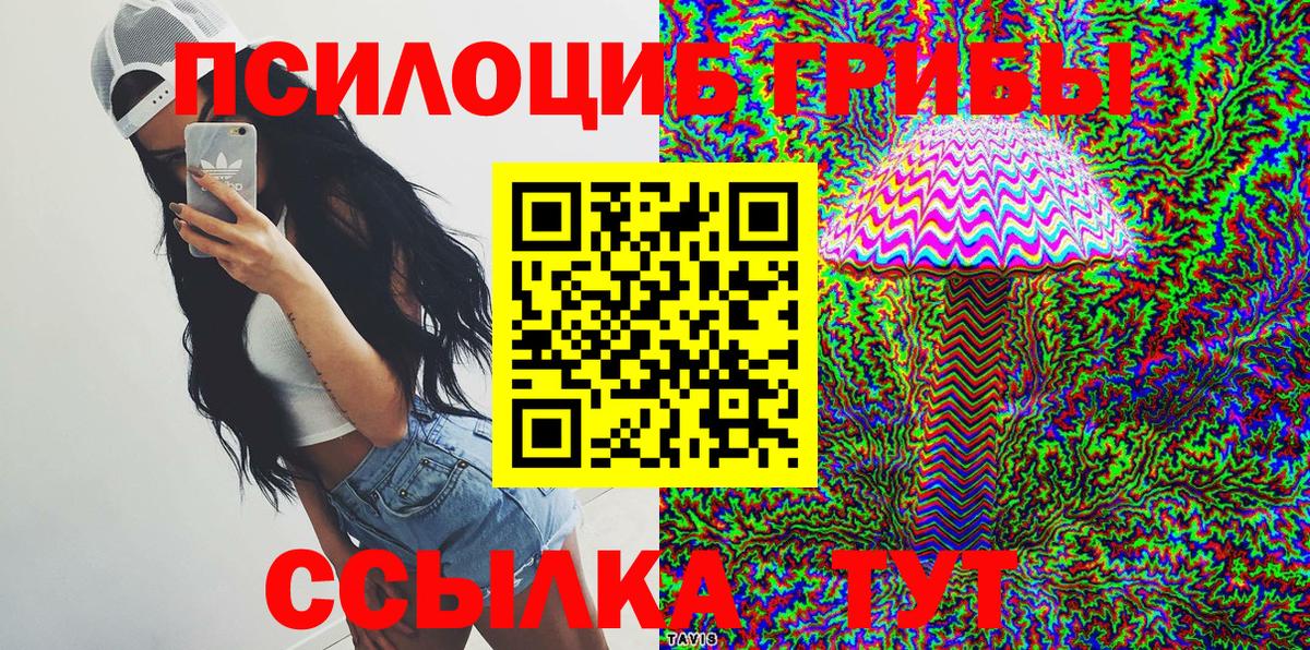Псилоцибиновые грибы GOLDEN TEACHER Сальск