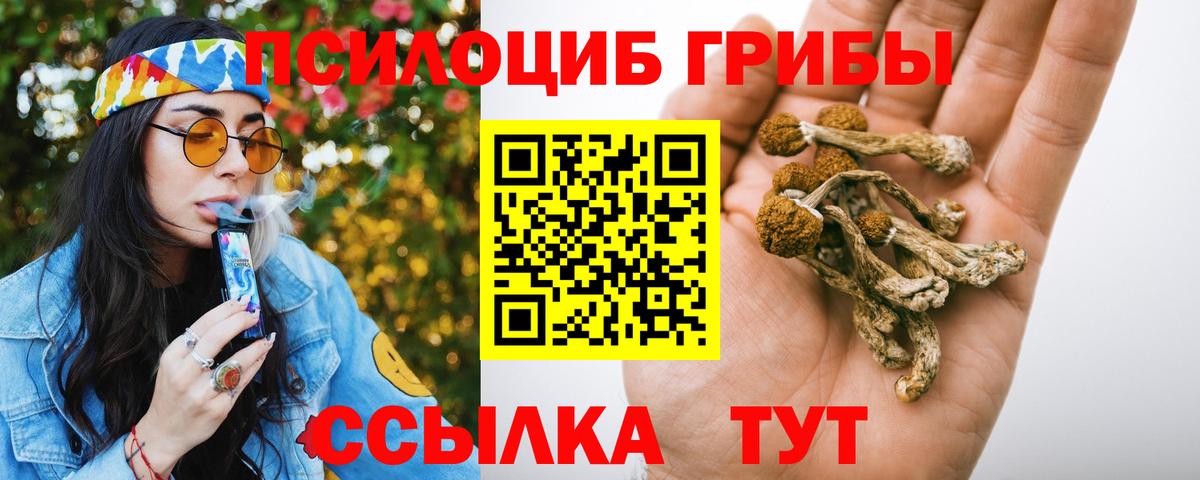 Псилоцибиновые грибы ЛСД  наркота  Сальск  Вход с VPN  Галлюциногенные грибы Magic Shrooms 